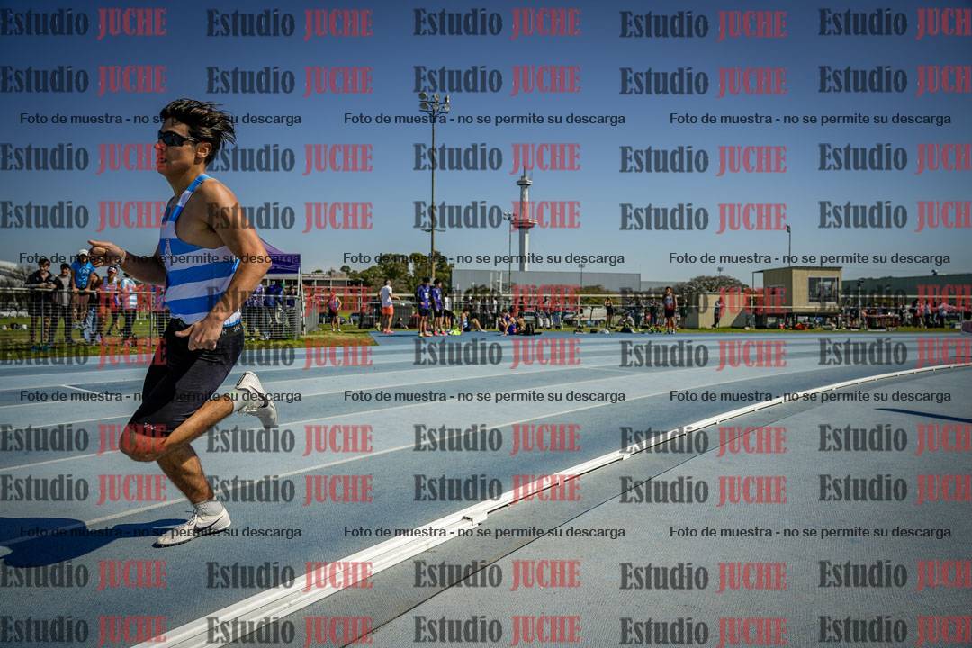 Fotos de los 800 m llanos de varones
