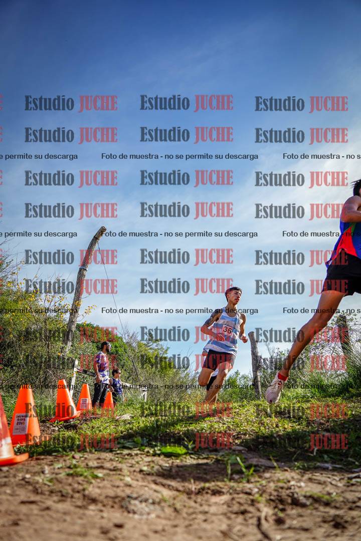 Fotos en el circuito