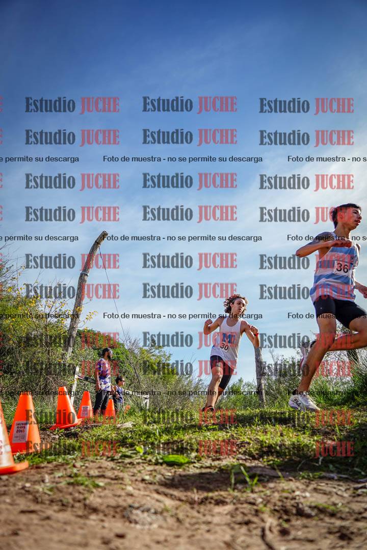 Fotos en el circuito