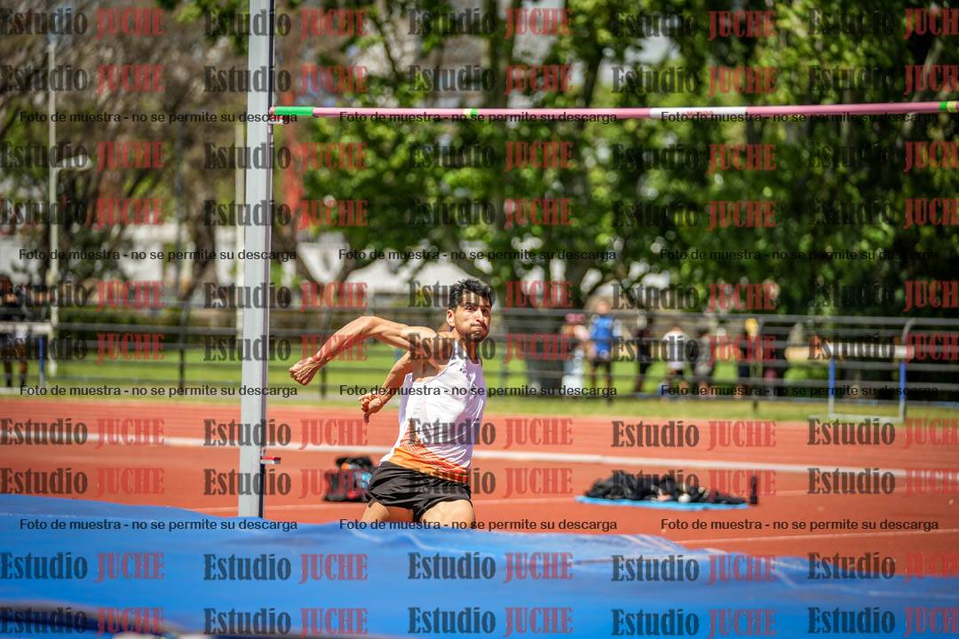 Fotos del salto en alto de varones