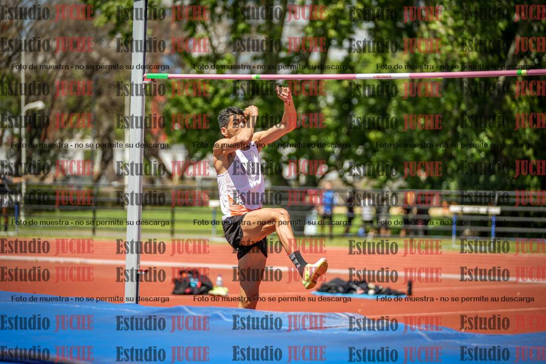 Fotos del salto en alto de varones