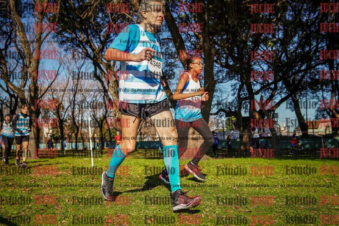 Fotos en el circuito