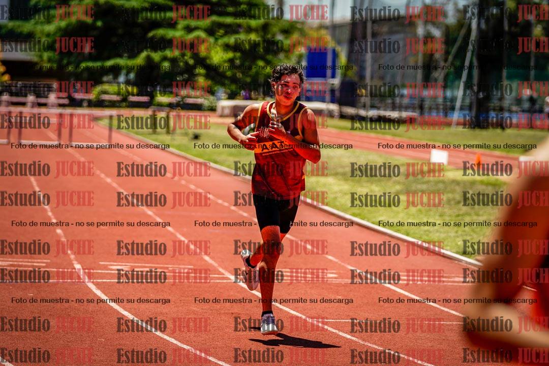 Fotos de los 400 m con vallas de varones