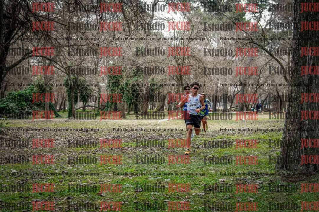 Fotos en el circuito