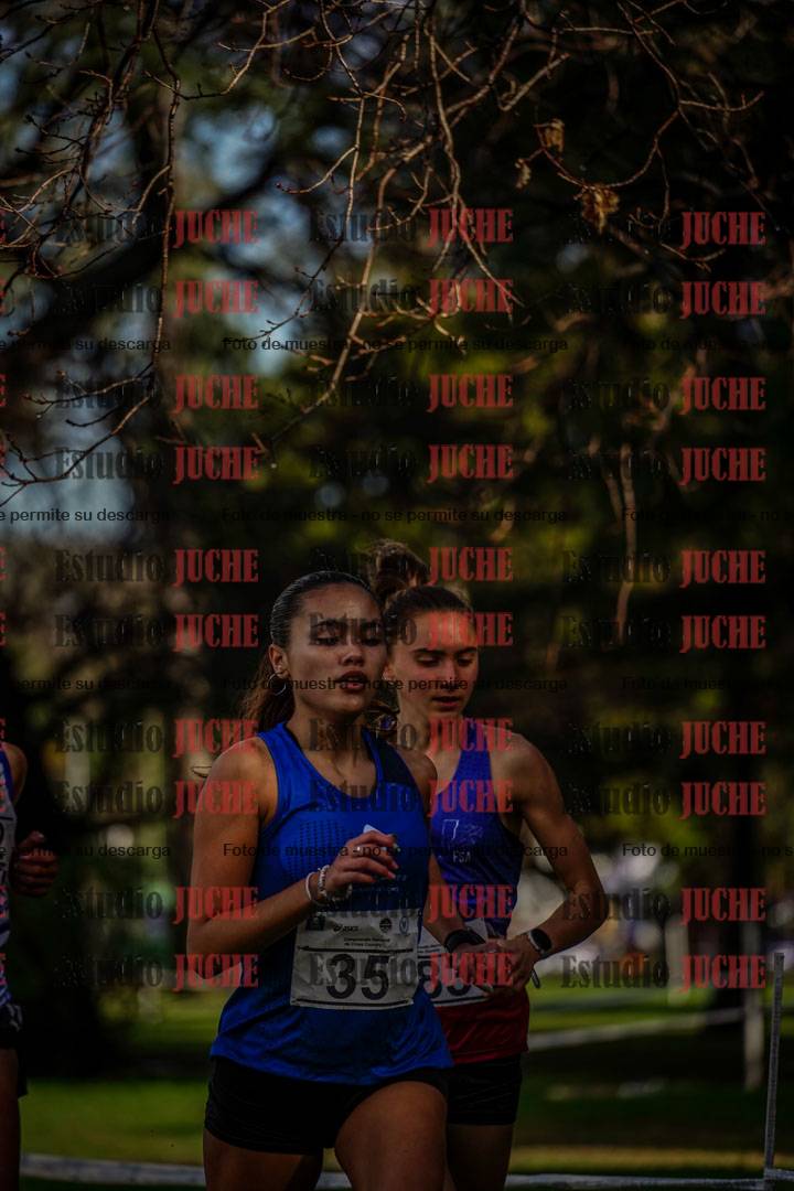 Fotos en el circuito
