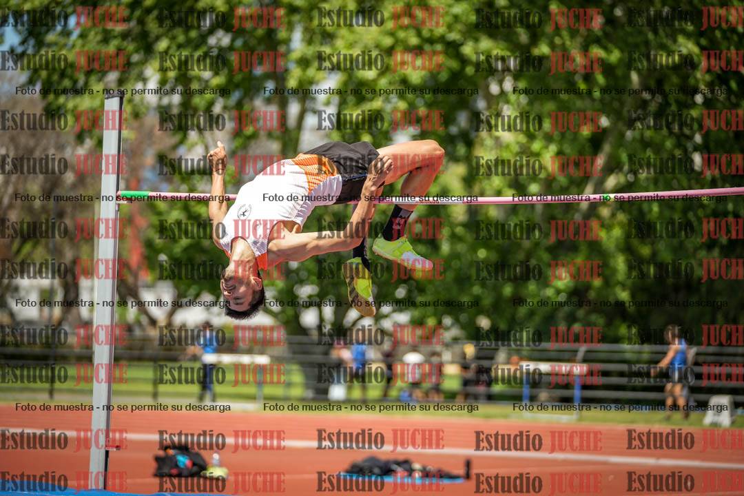Fotos del salto en alto de varones
