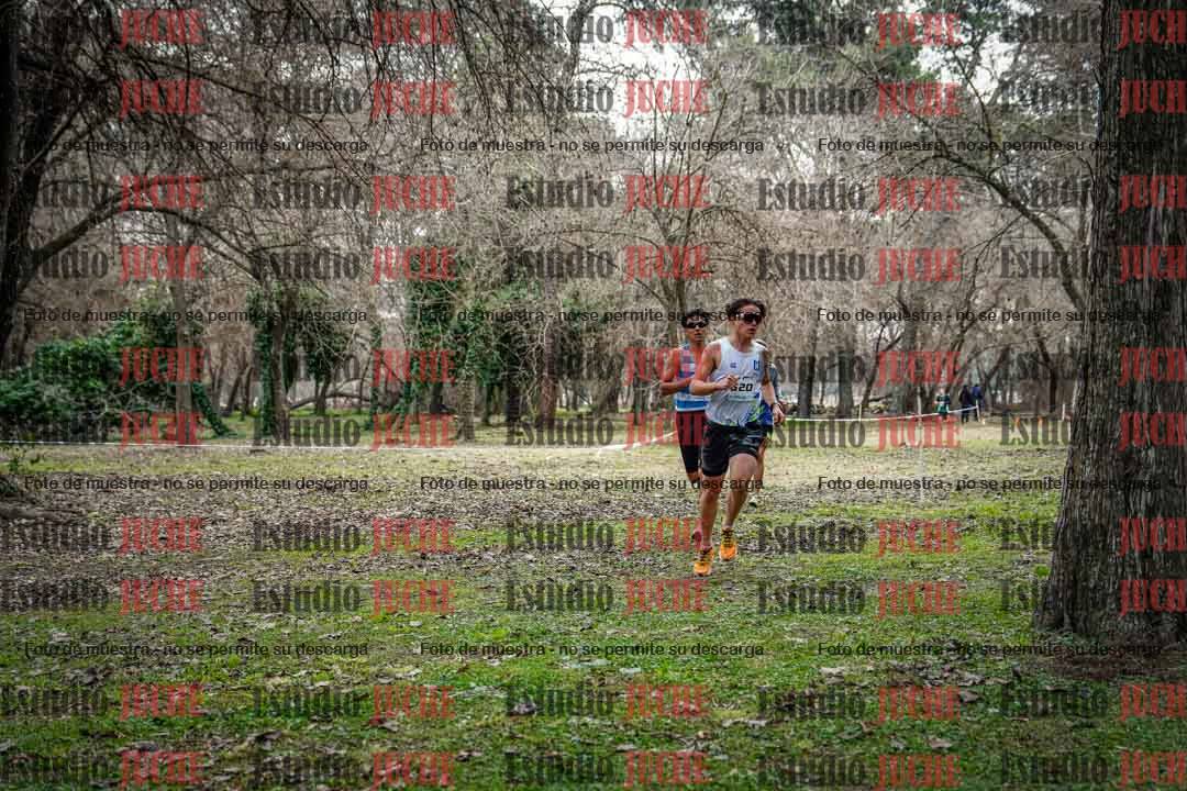 Fotos en el circuito