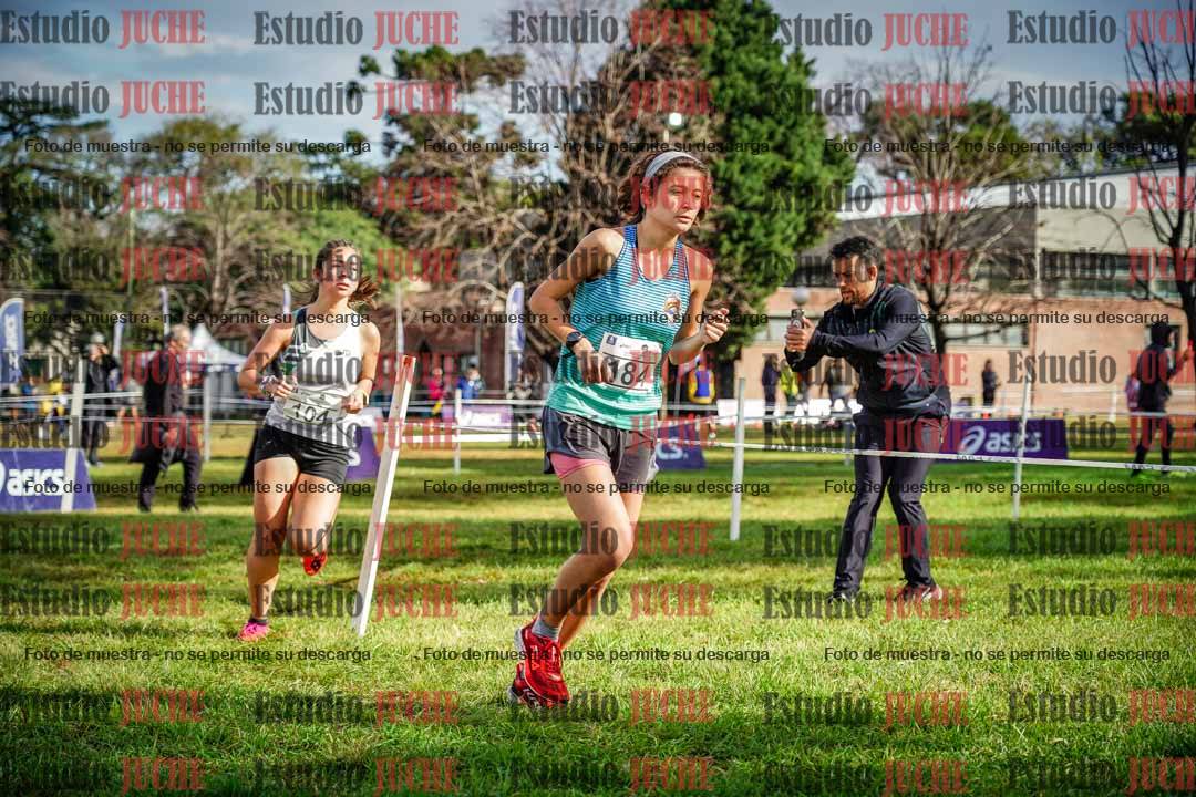 Fotos en el circuito