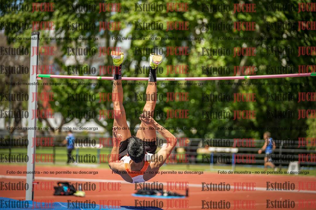 Fotos del salto en alto de varones