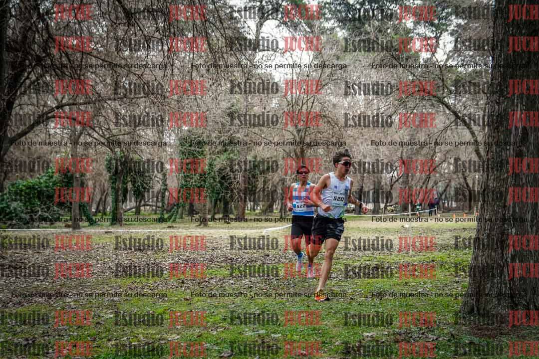 Fotos en el circuito