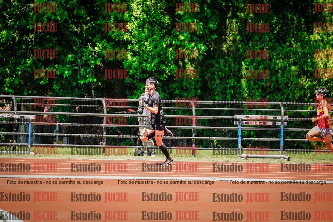 Fotos de los 800 m llanos de varones