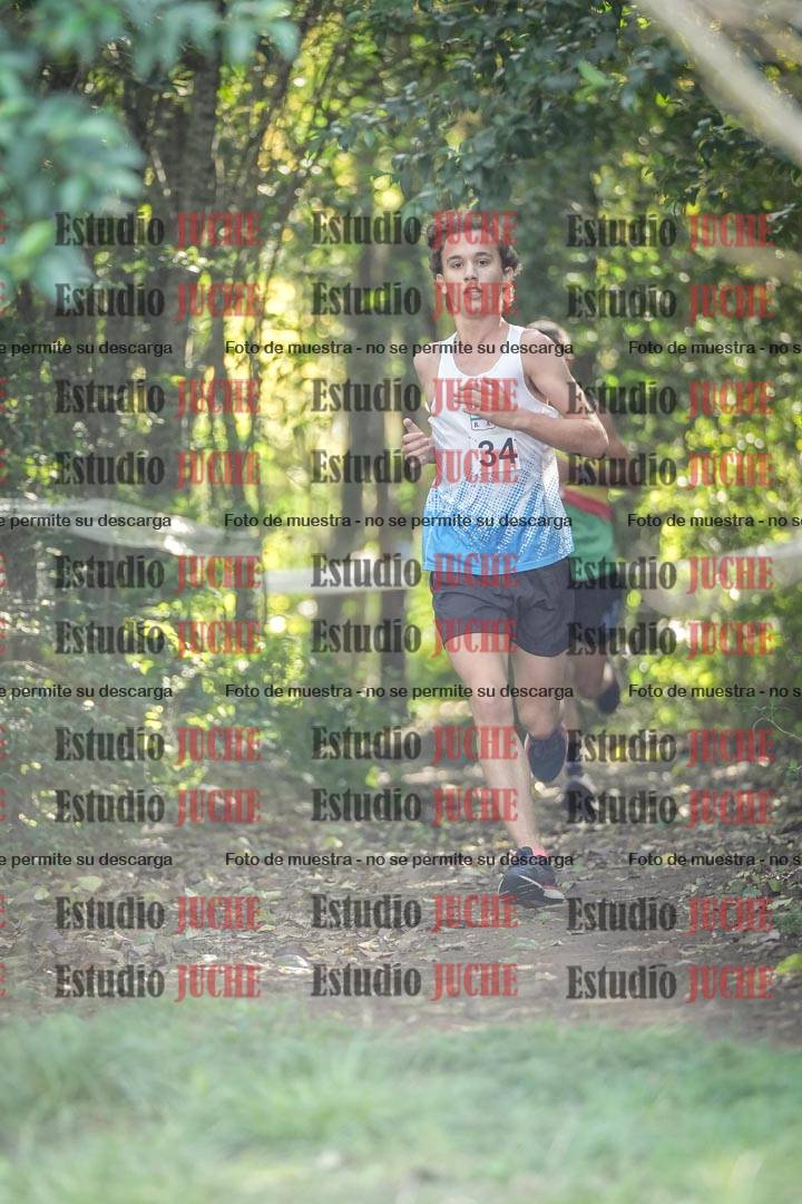 Fotos en el circuito