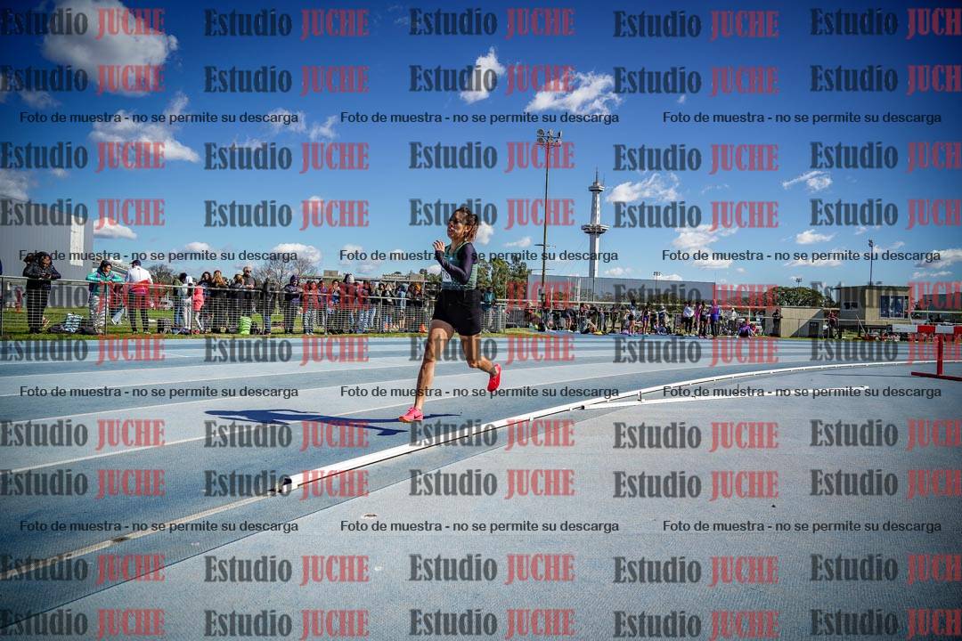 Fotos de los 800 m llanos de mujeres