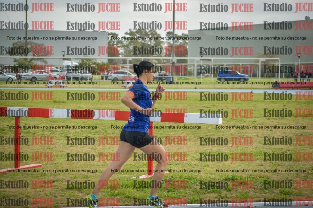 Fotos de los 800 m llanos de mujeres