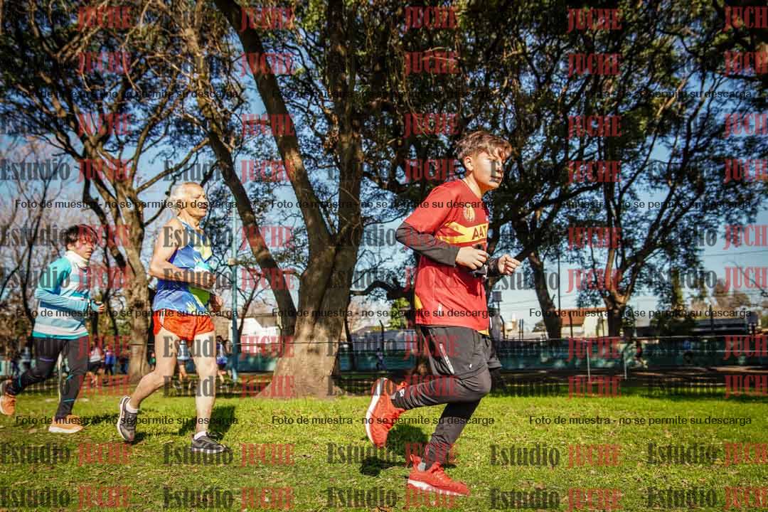 Fotos en el circuito