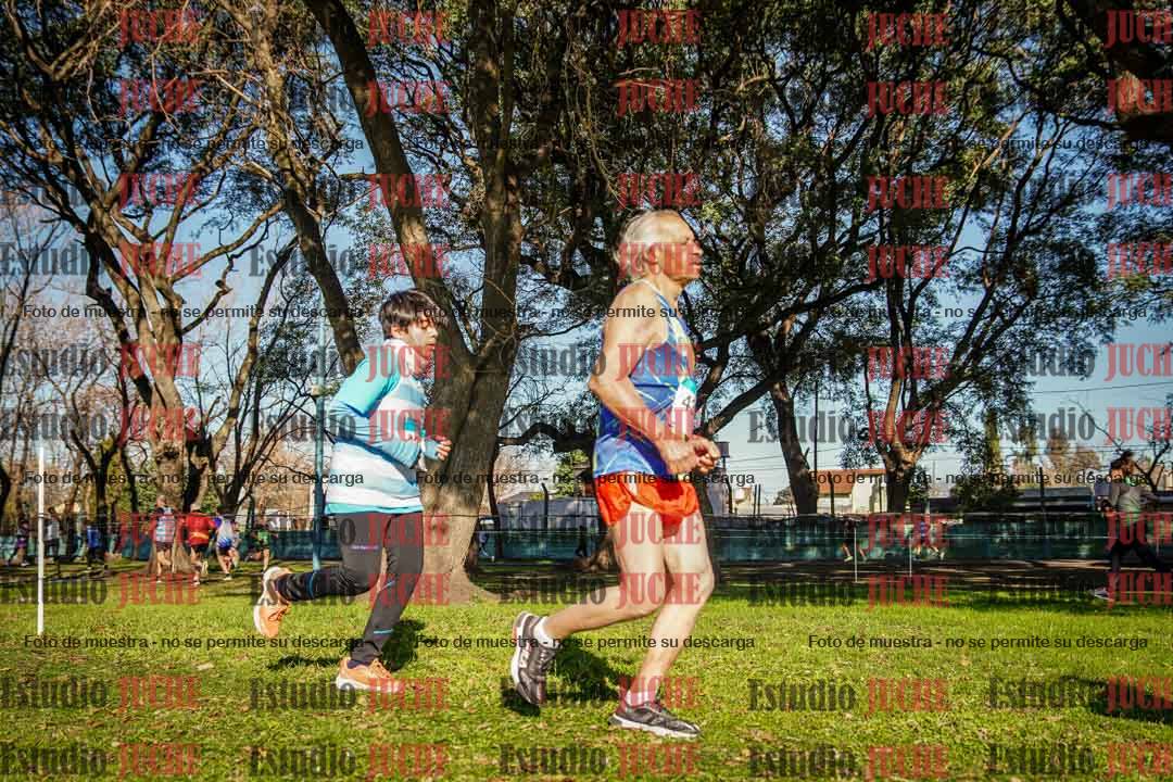 Fotos en el circuito