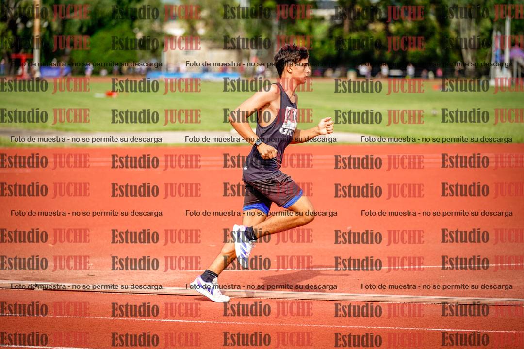 Fotos de los 3000 m llanos de varones