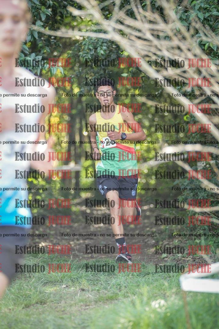 Fotos en el circuito