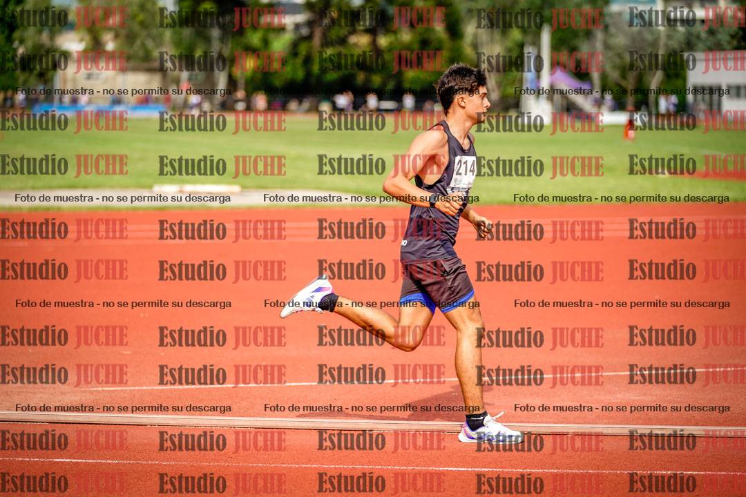 Fotos de los 3000 m llanos de varones