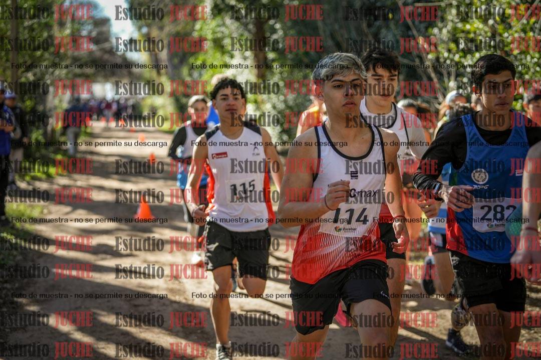 Fotos en de la largada
