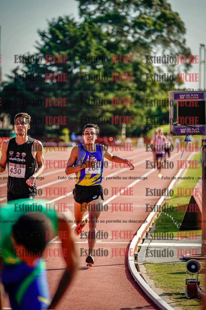 Fotos de los 1500 m llanos de varones