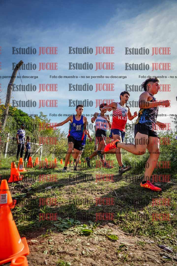 Fotos en el circuito