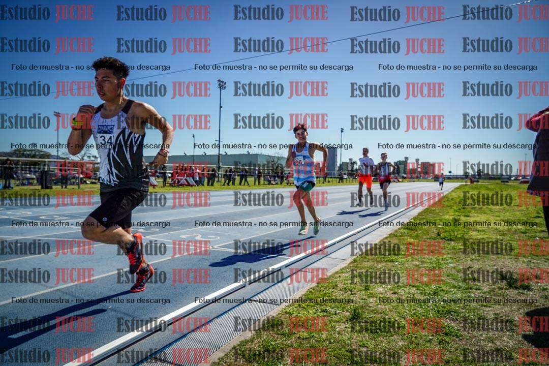 Fotos de los 800 m llanos de varones