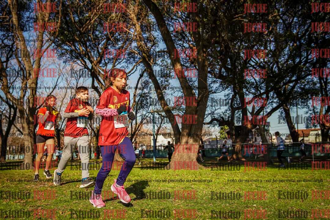 Fotos en el circuito