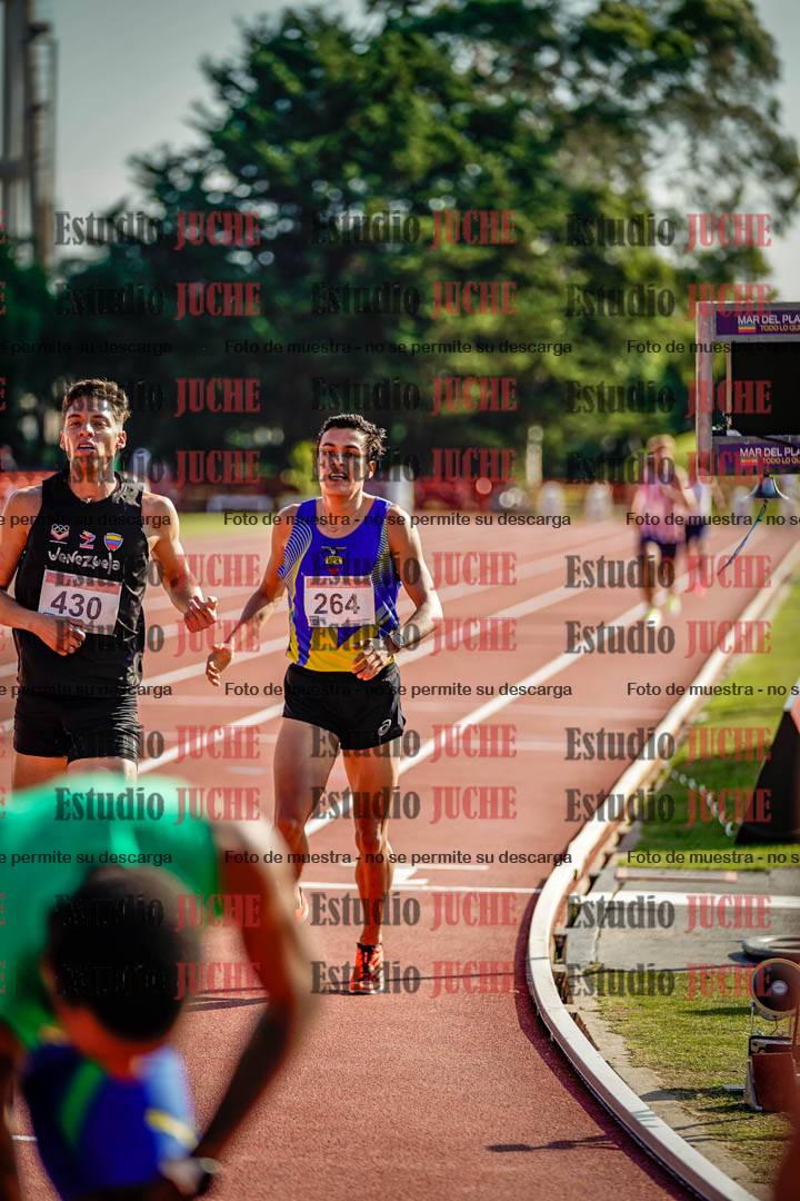 Fotos de los 1500 m llanos de varones