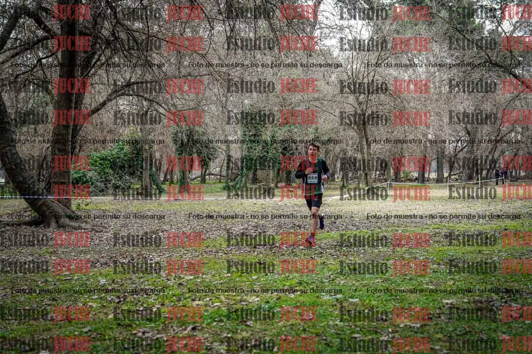Fotos en el circuito