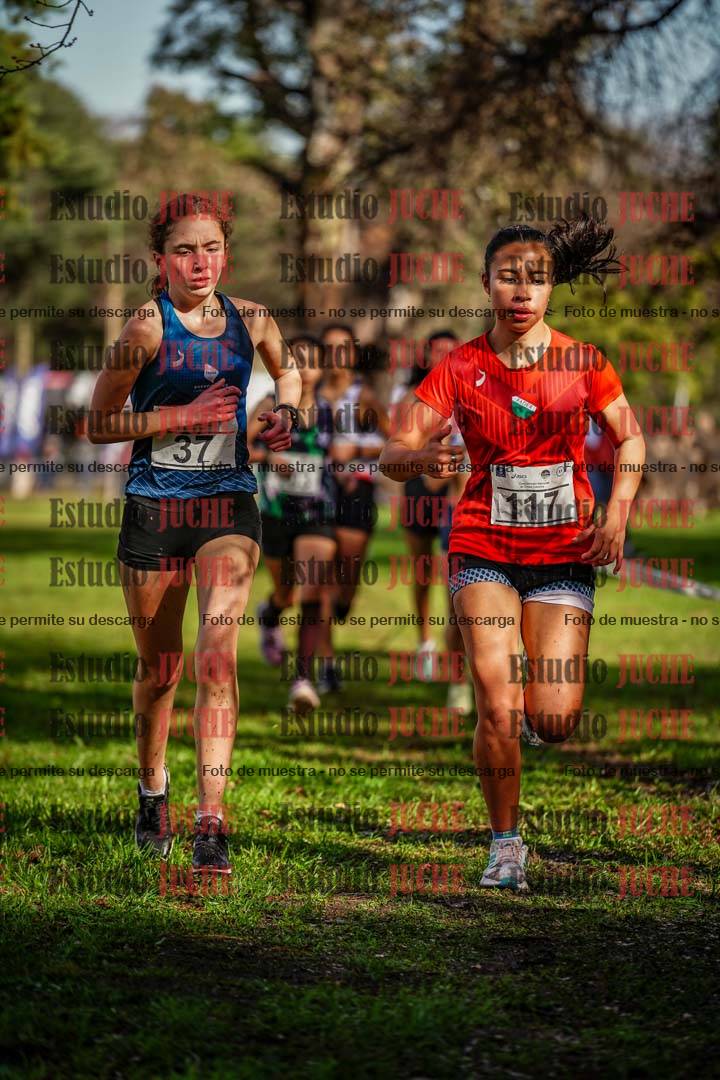 Fotos en el circuito