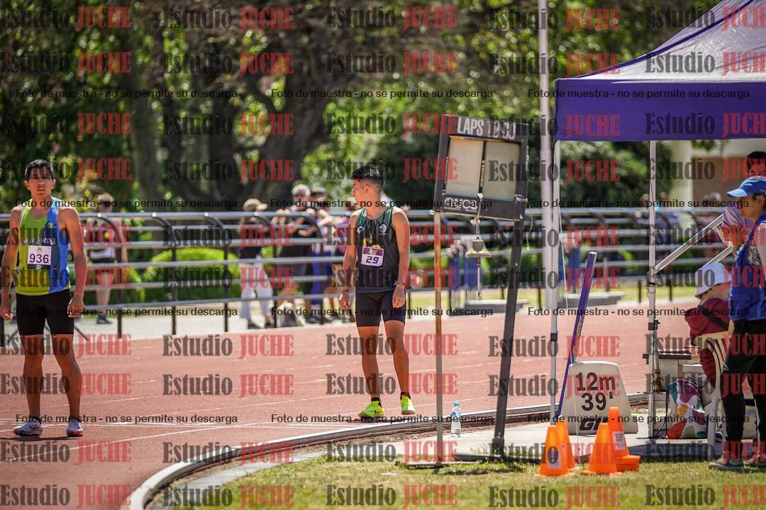 Fotos de los 800 m llanos de varones