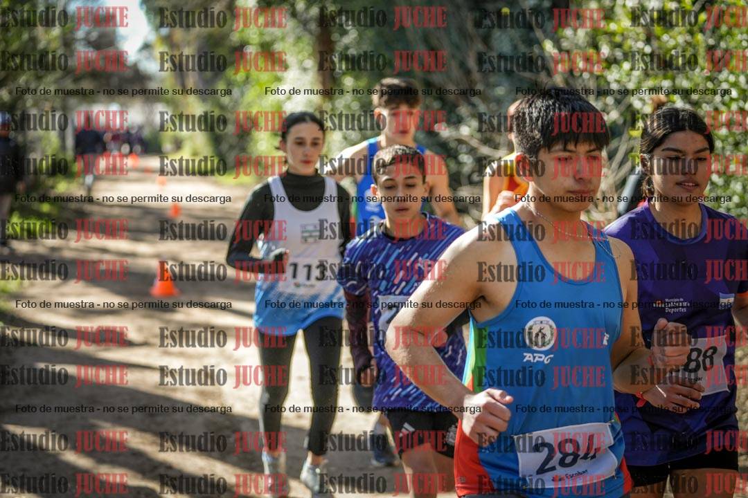 Fotos en de la largada