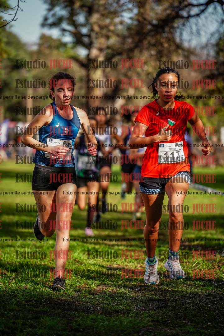 Fotos en el circuito