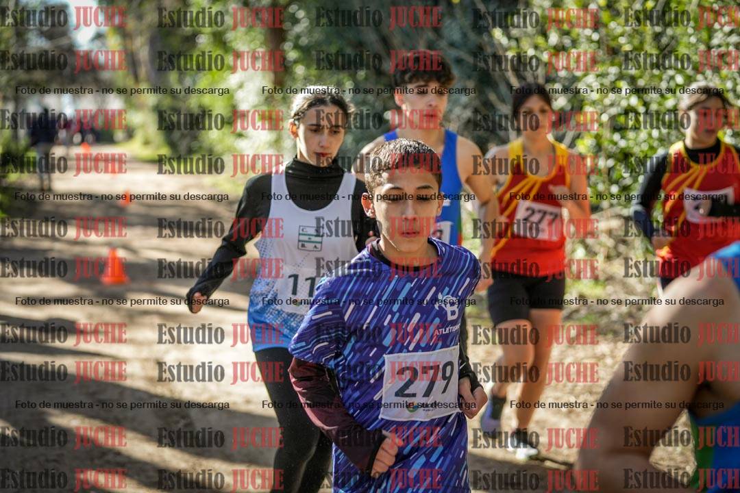 Fotos en de la largada