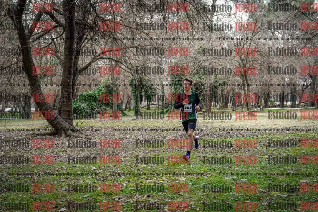 Fotos en el circuito