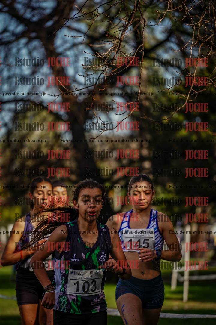 Fotos en el circuito