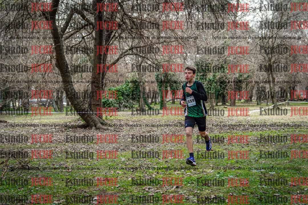 Fotos en el circuito