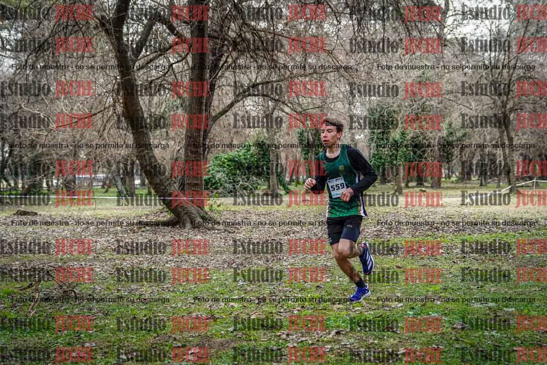 Fotos en el circuito
