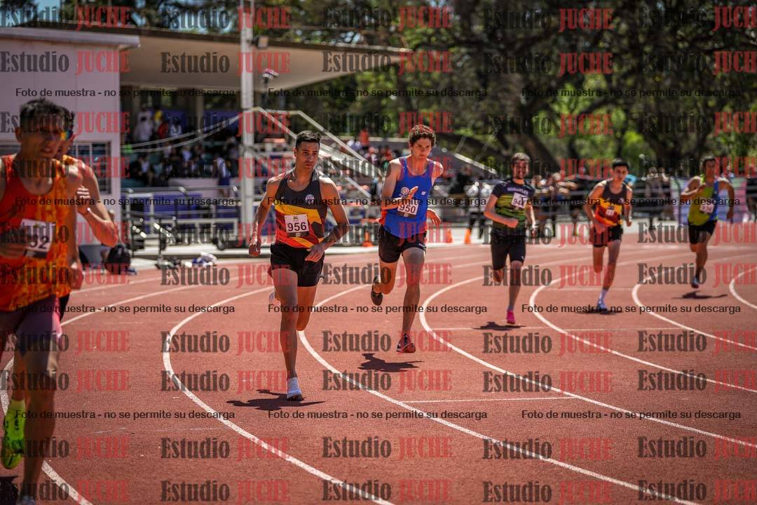Fotos de los 800 m llanos de varones
