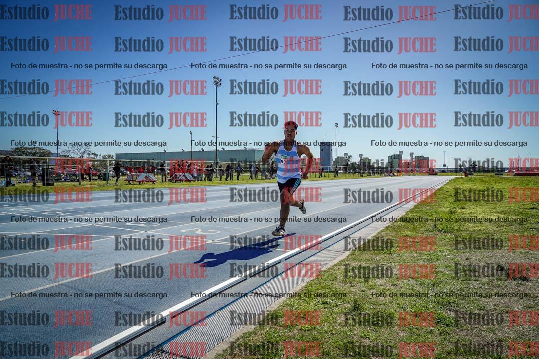 Fotos de los 800 m llanos de varones