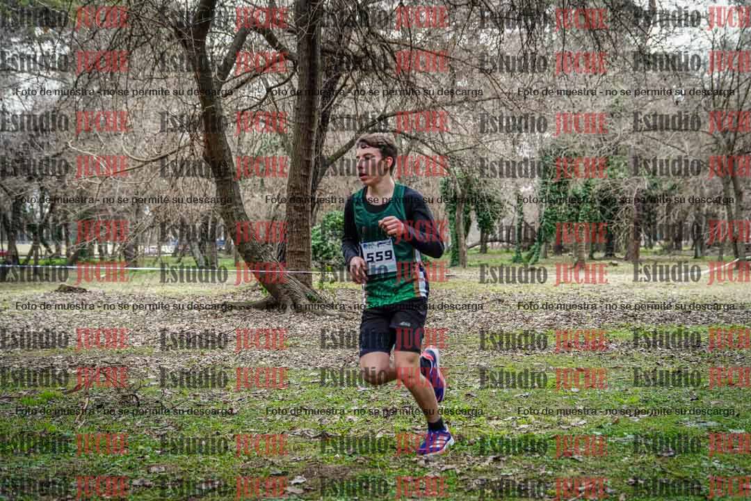 Fotos en el circuito