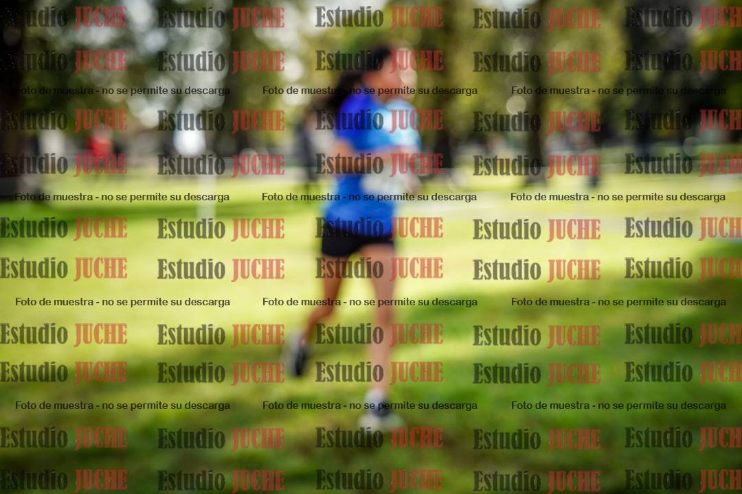 Fotos en el circuito