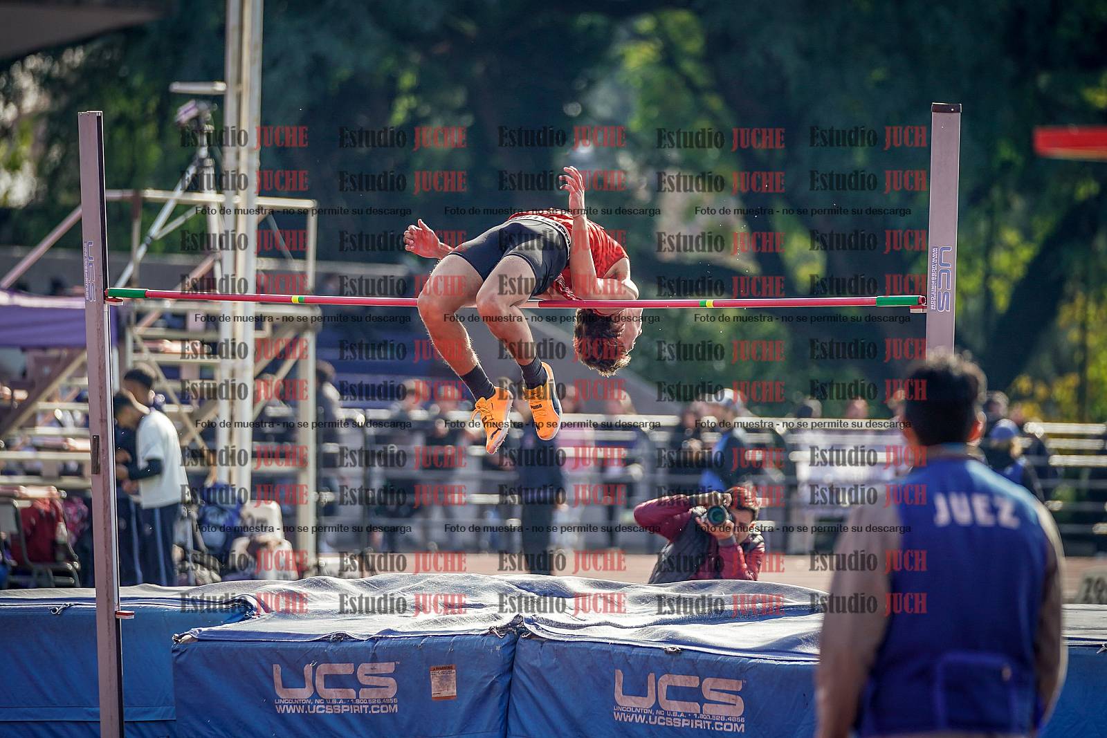 Fotos del salto en alto de varones