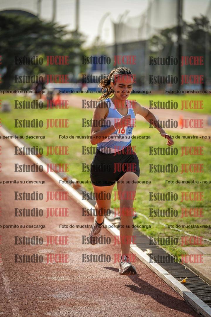Fotos de los 800 m llanos de mujeres