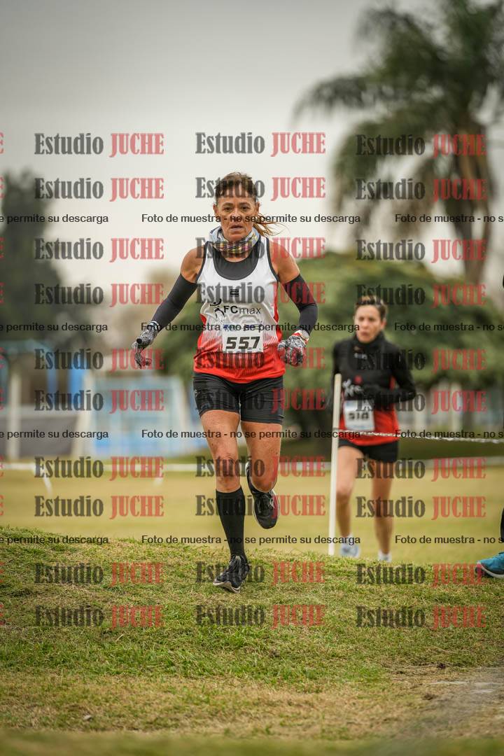 Fotos en el circuito