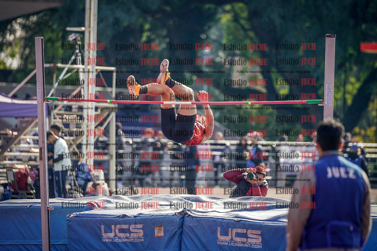 Fotos del salto en alto de varones