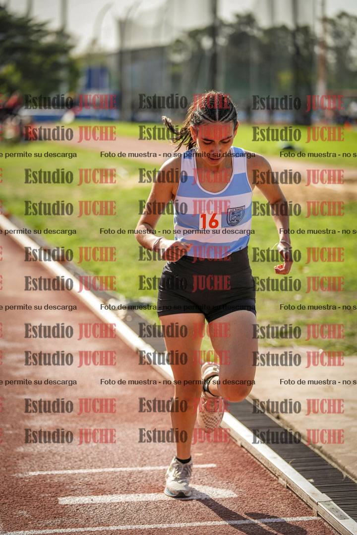 Fotos de los 800 m llanos de mujeres