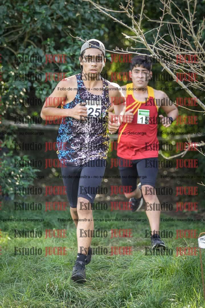 Fotos en el circuito