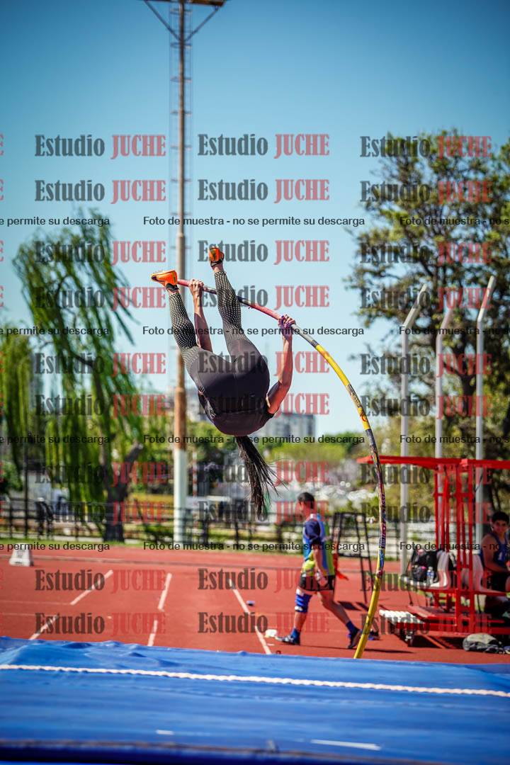 Fotos del salto con garrocha de mujeres